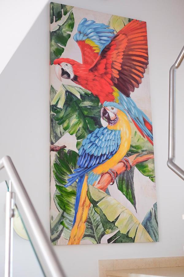Amazing Views Casa Hummingbird Apartamento Lagos Exterior foto